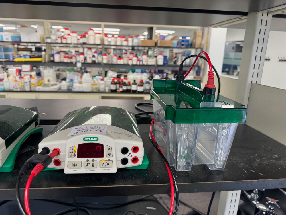 Image of Bio-Rad PowerPac Basic Electrophoresis Power Supply